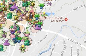 pokemon go tracker iv map