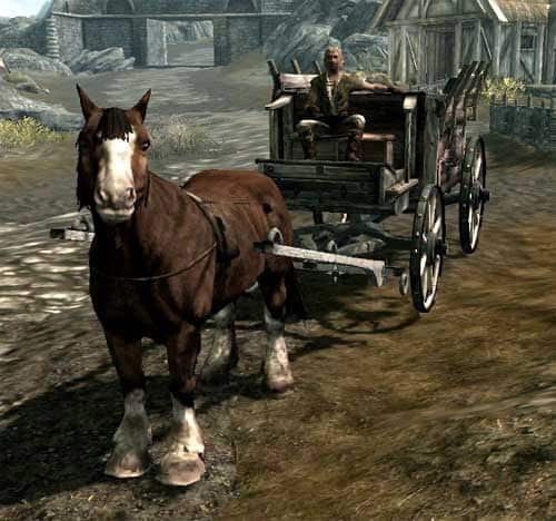 skyrim carriage to fast travel to all main cities